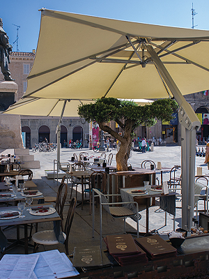 PROFESSIONALS Poggesi