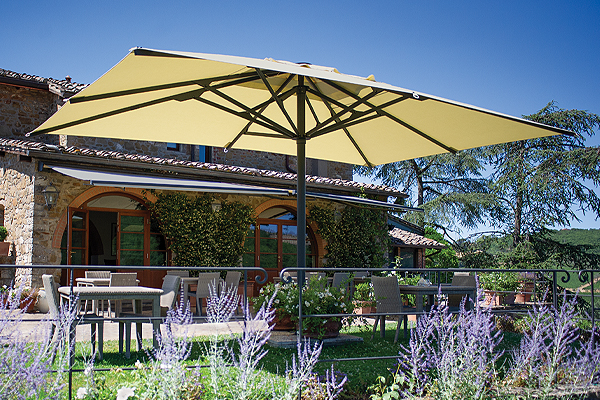 PROFESSIONALS Poggesi